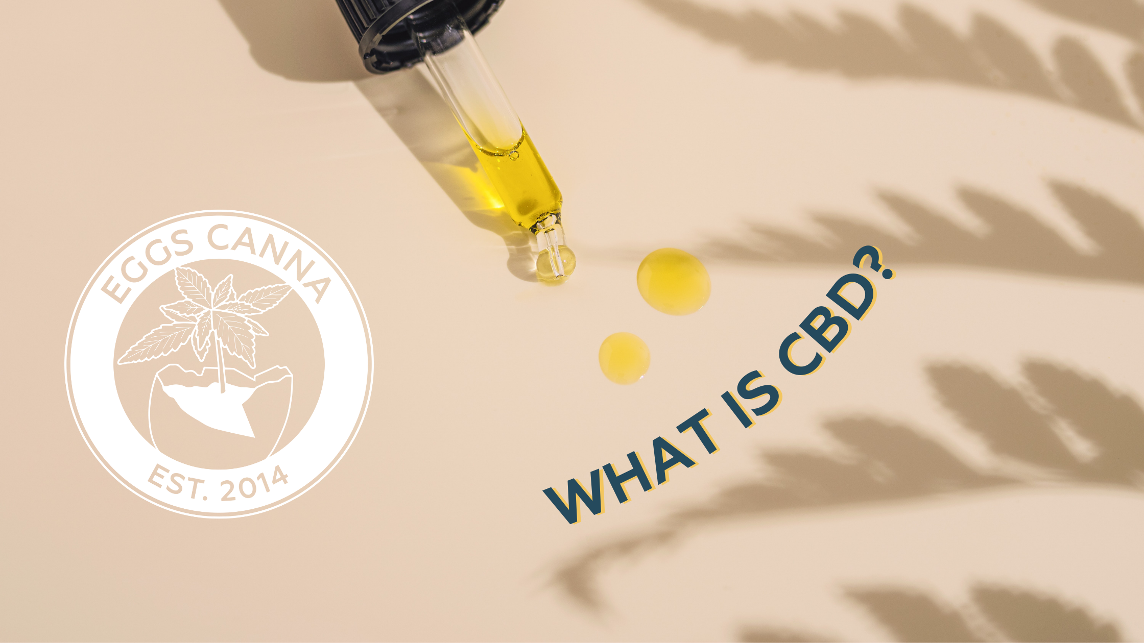 4 Things You Should Know About CBD