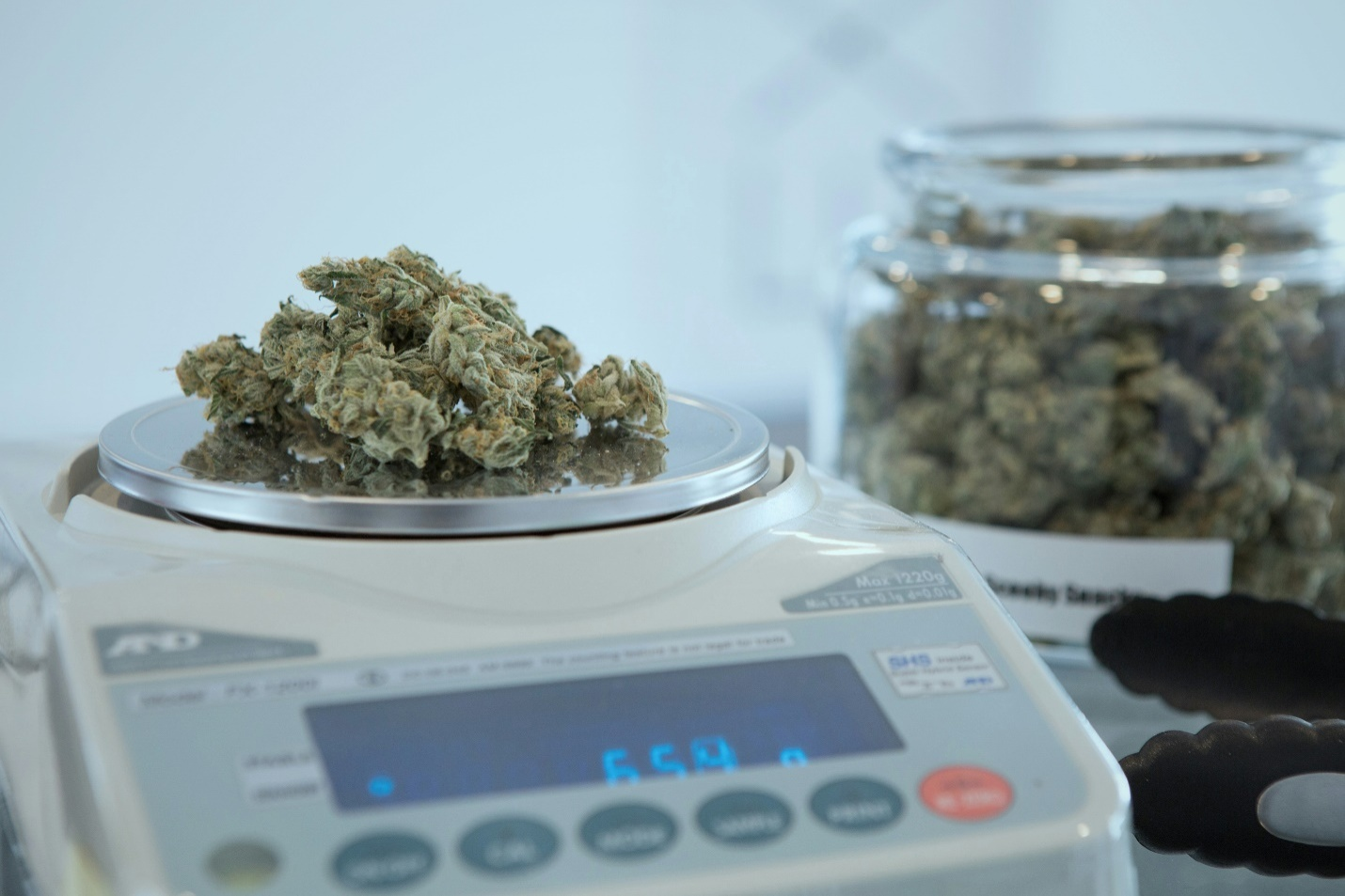 Measuring weed on a kitchen scale.