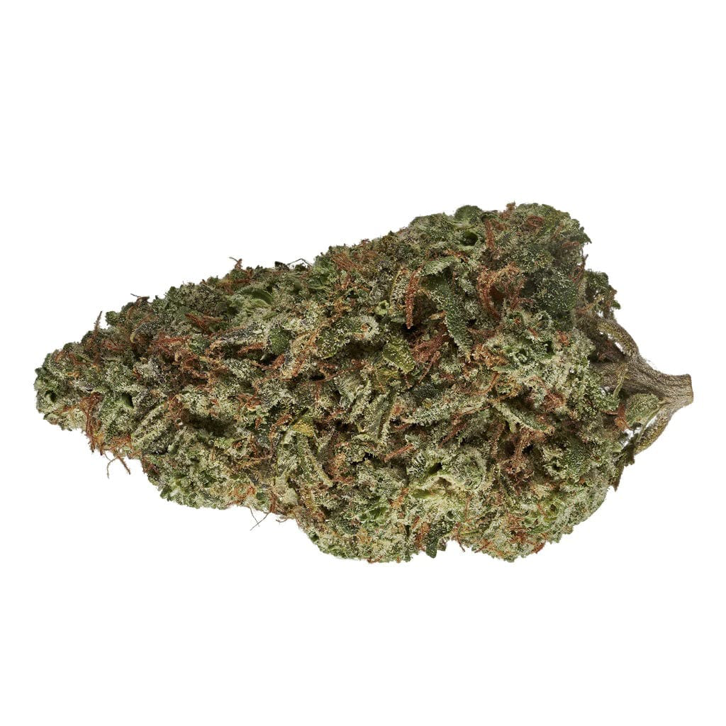 Staff Picks: What Our Team is Smoking Right Now