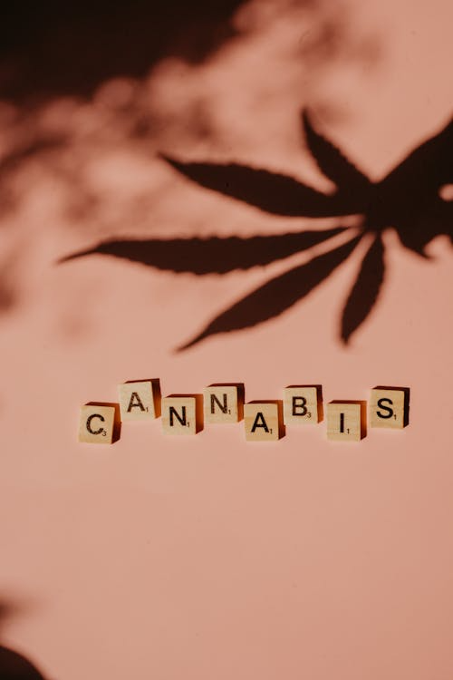 Scrabble tiles spelling “CANNABIS” on a bright pink surface