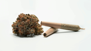 dried kush and infused pre-rolls on a white surface