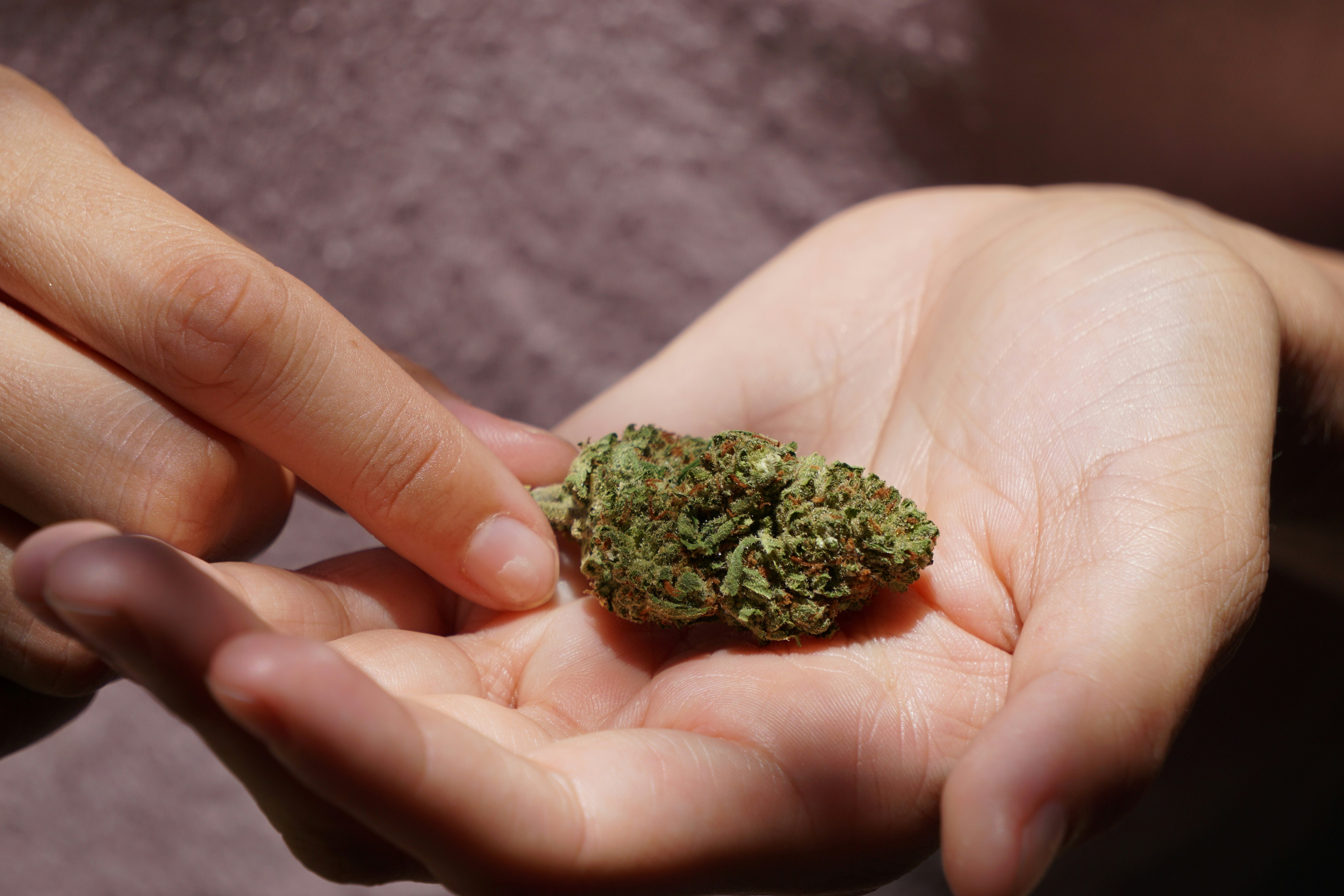 a person holding up a green kush