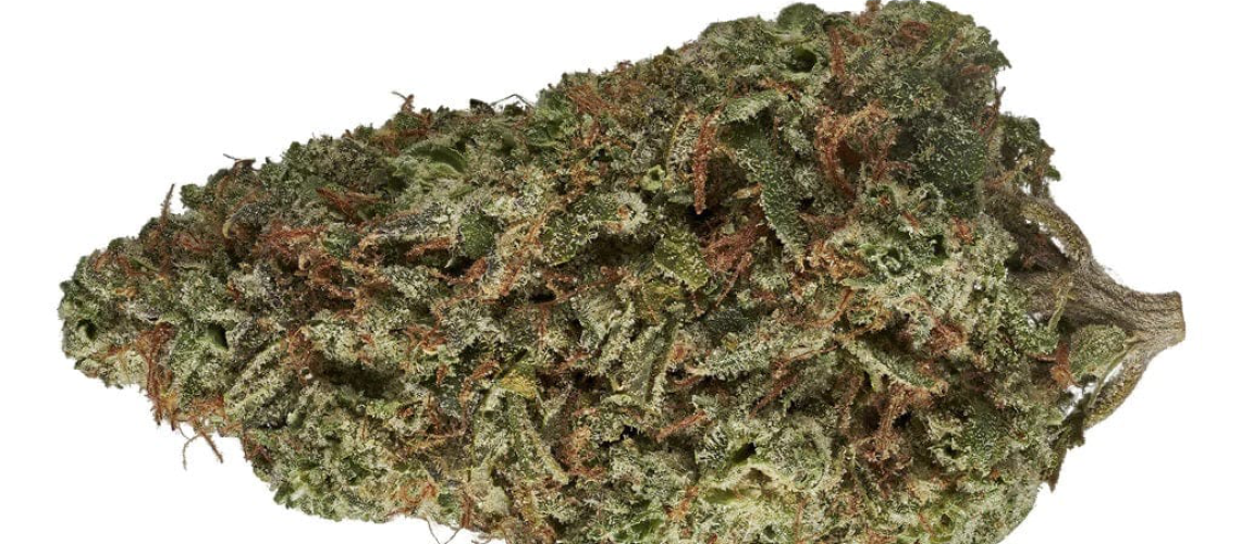 cuban-linx-sativa-flower-eggs-canna